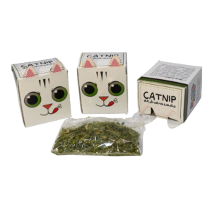 Catnip Deshidratado