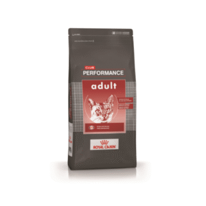Performance Gato Adulto