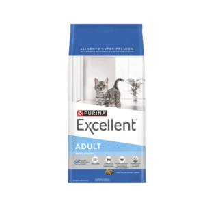 Excellent Gato Adulto
